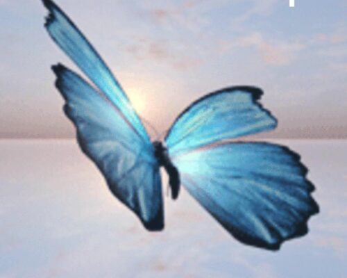 21105810_813362645503048_7459388231609582937_n